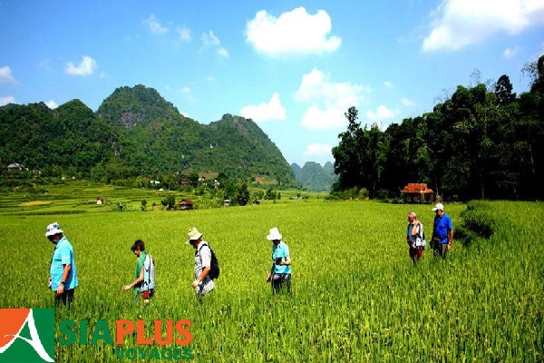Vietnam-MaiChau.jpg